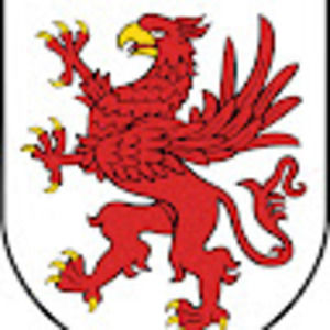 Meet your Posher, Griffin